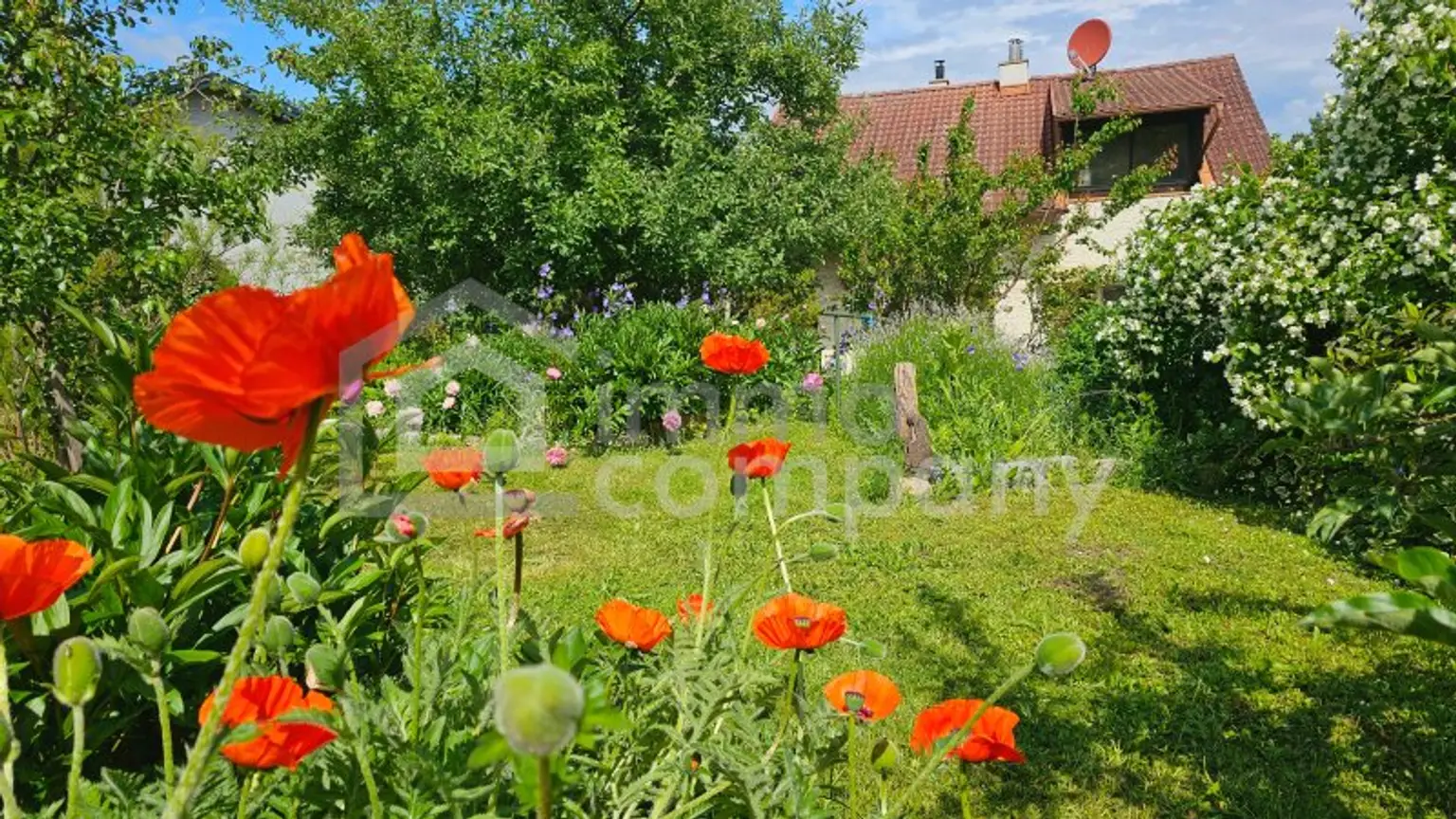 Renovierungsbedürftiges Haus mit idyllischen, großen Garten in Sommerein zu verkaufen!