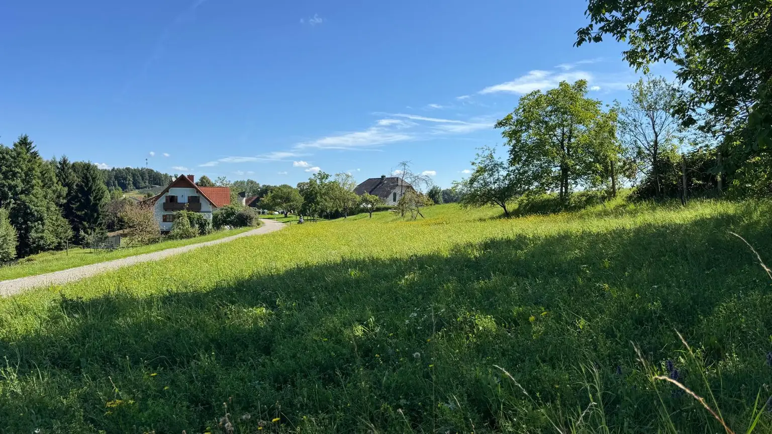 Sonniges Baugrundstück in idyllischer Lage – Edelsgrub, 8302 Nestelbach