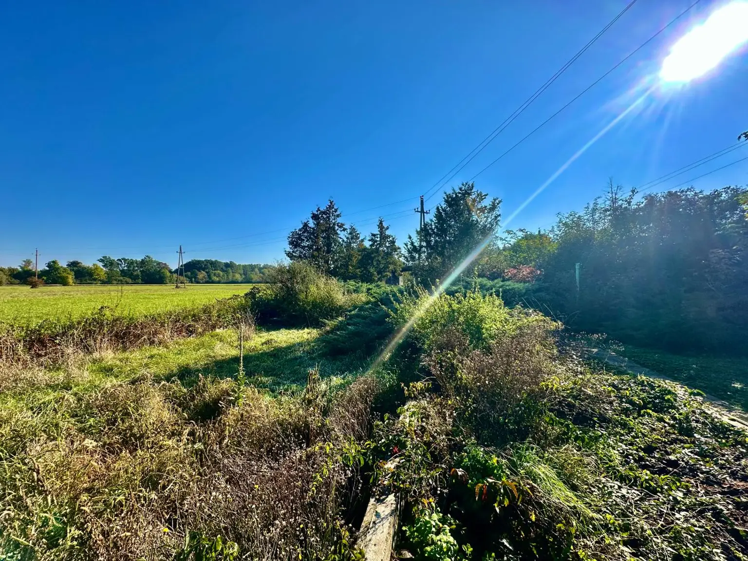 Gemütliches Landhaus im Weinviertel auf ca. 995m² Grundstück – ideal für Naturliebhaber!