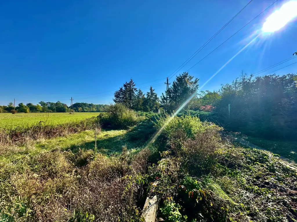 Gemütliches Landhaus im Weinviertel auf ca. 995m² Grundstück – ideal für Naturliebhaber!