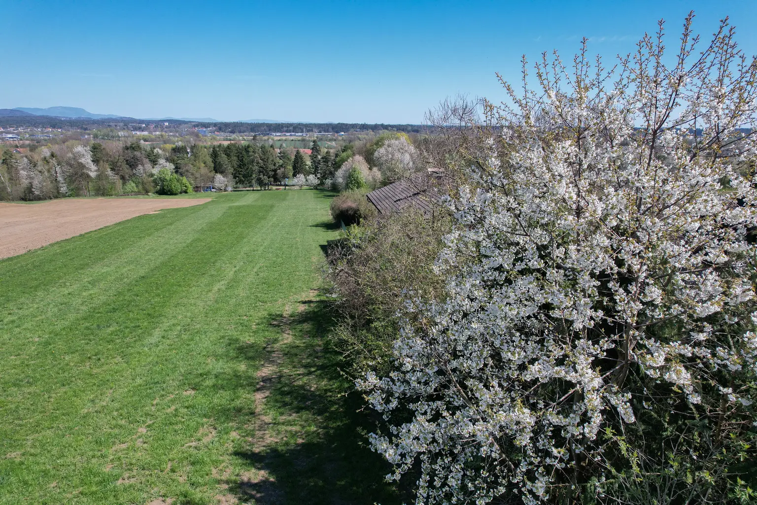 GrundstückLannach-12