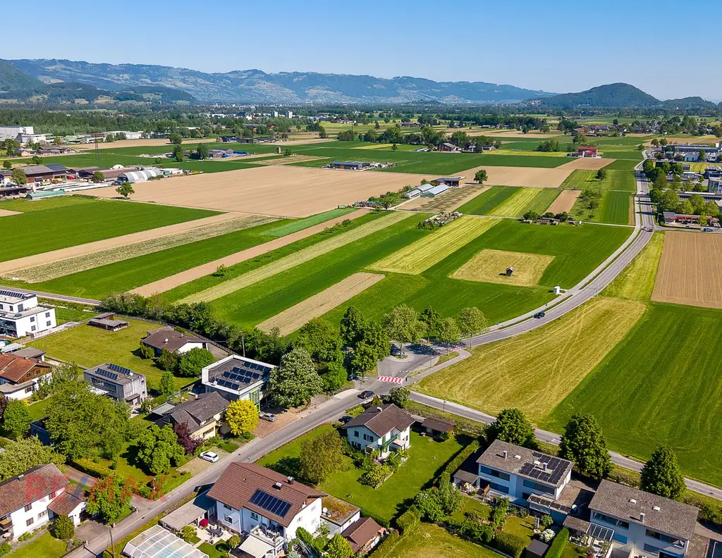 330 m² Freiheit - Wo Wohnträume Wurzeln schlagen