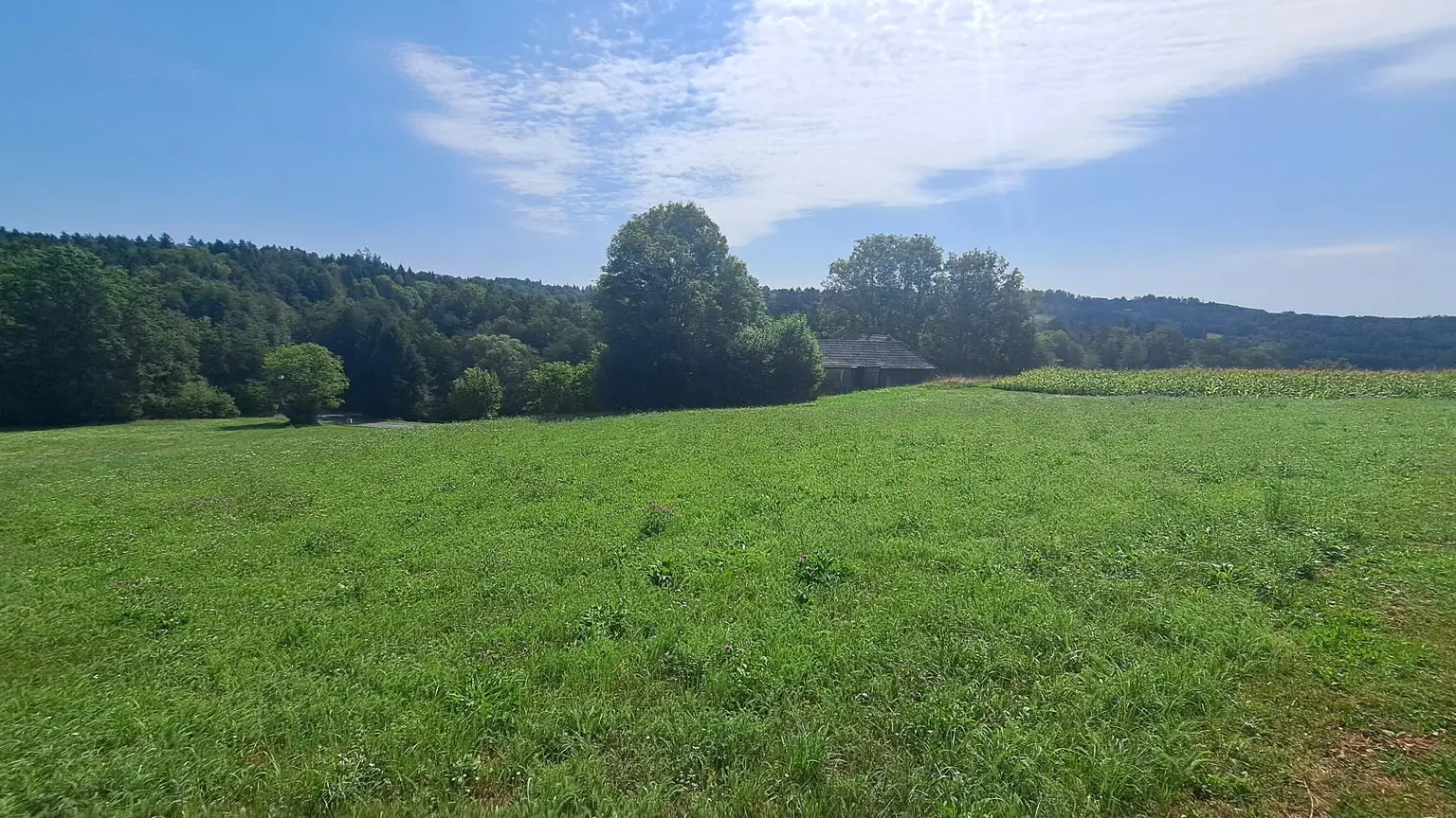 Blick Richtung Süd-Osten