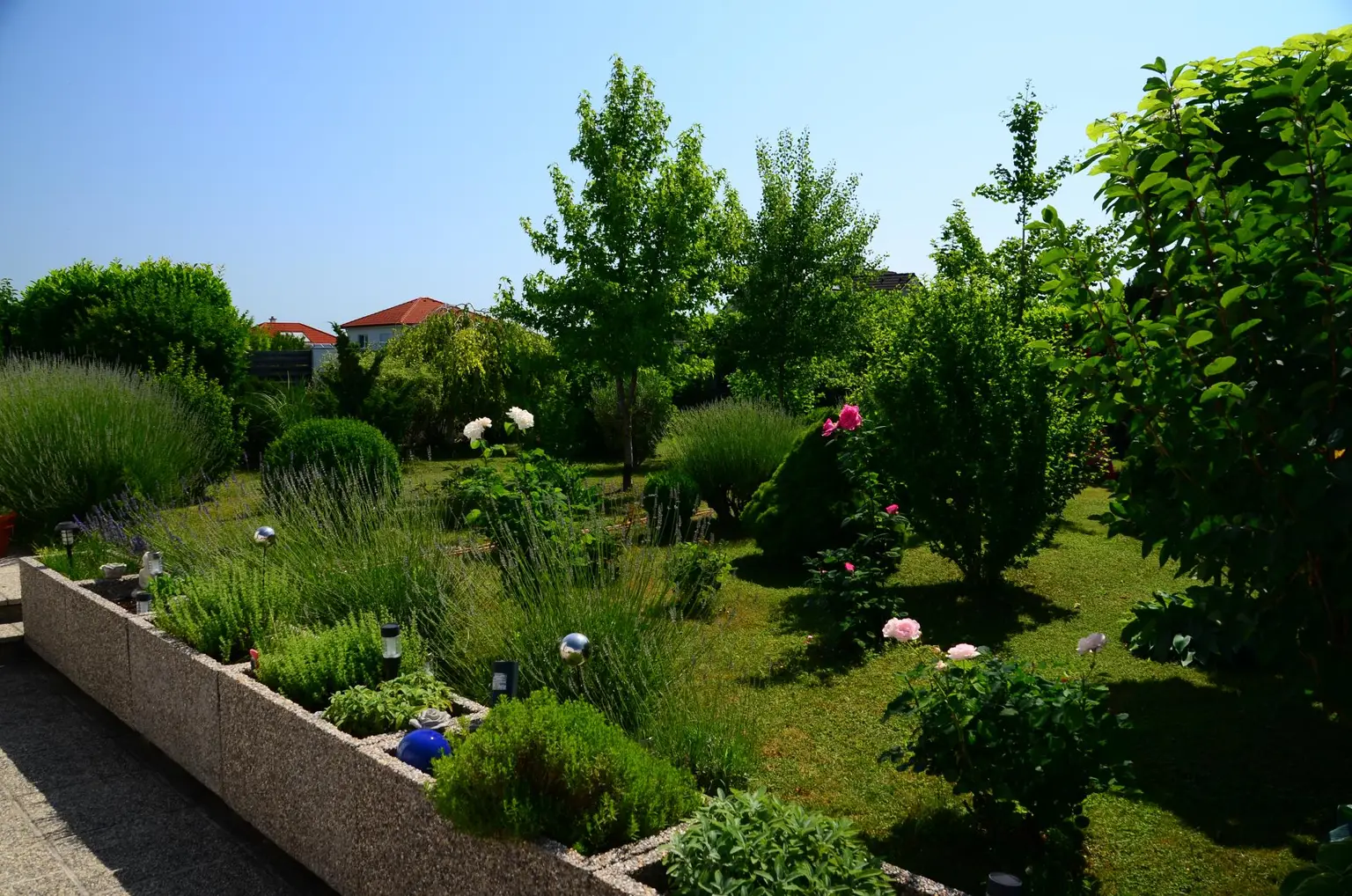 Traumhaus in Purbach am Neusiedlersee