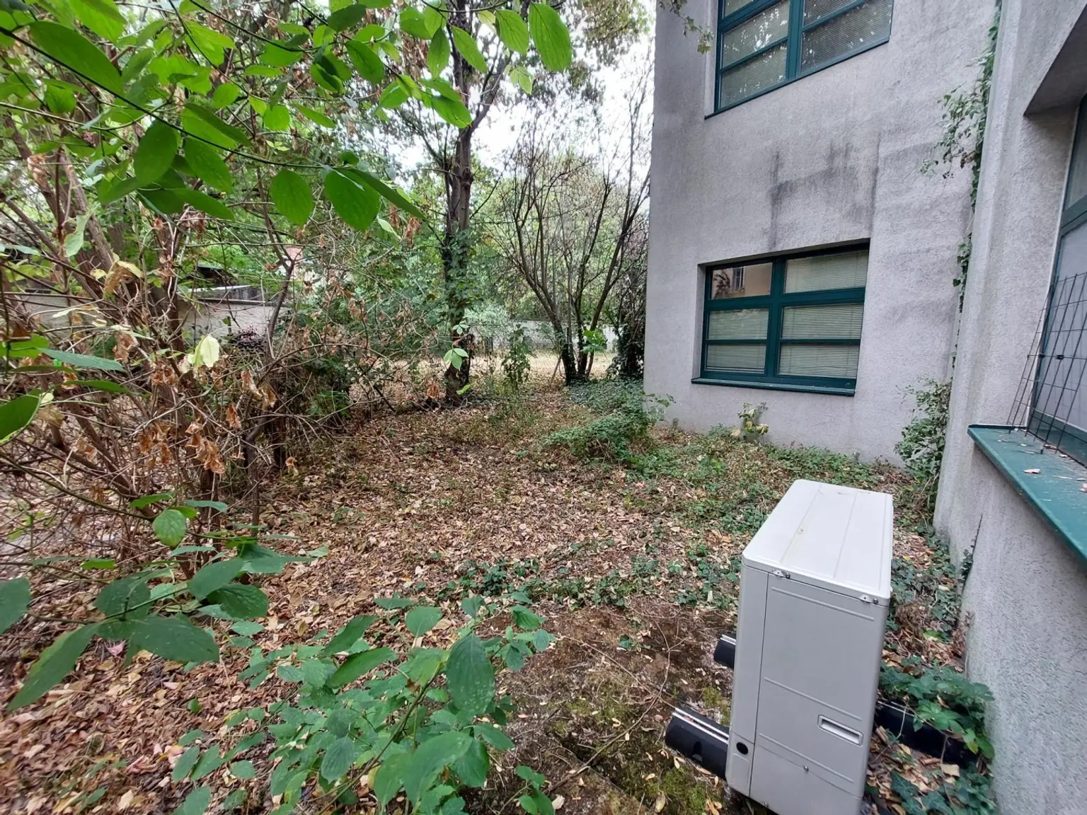 Nördlicher Garten_3