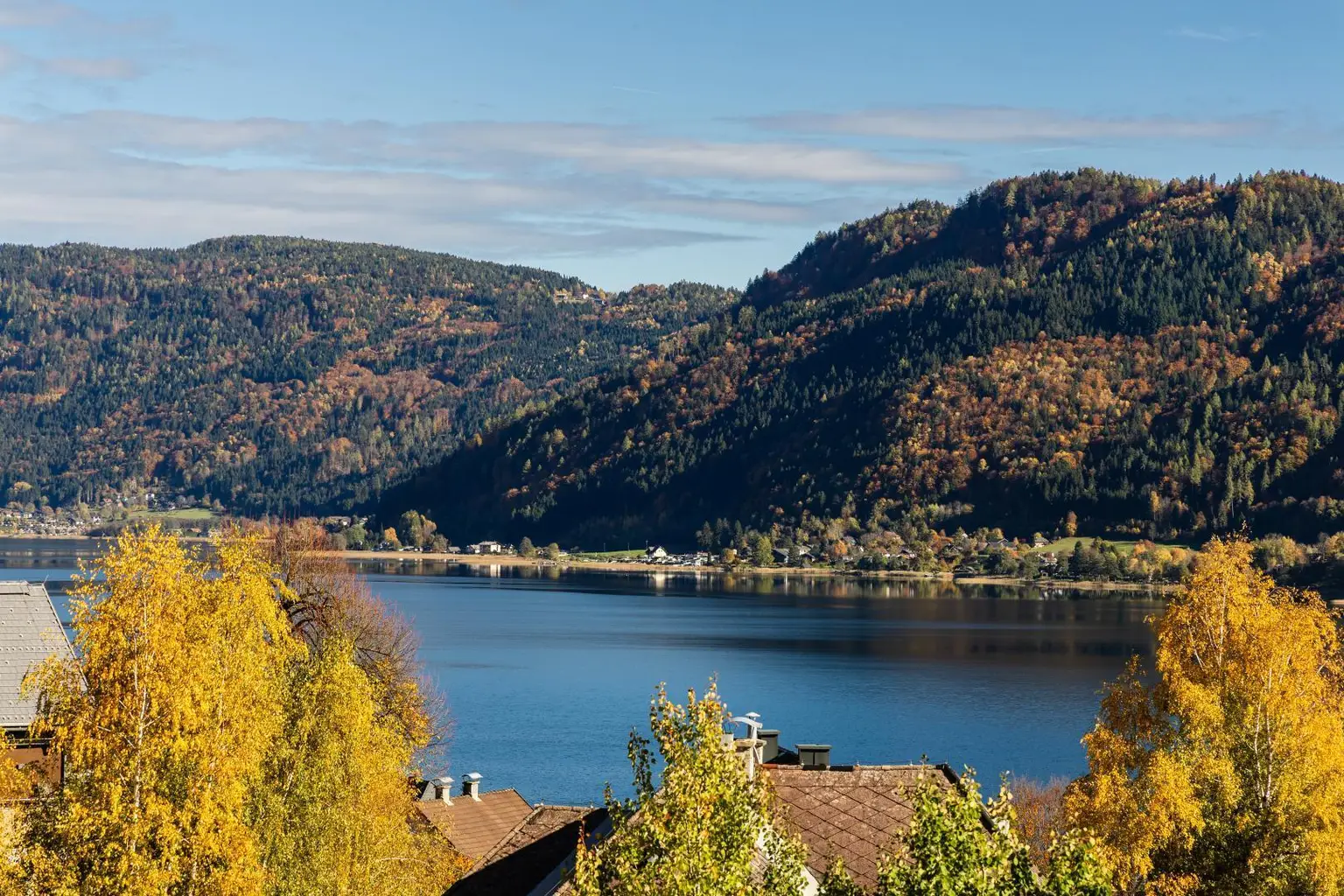Ausblick
