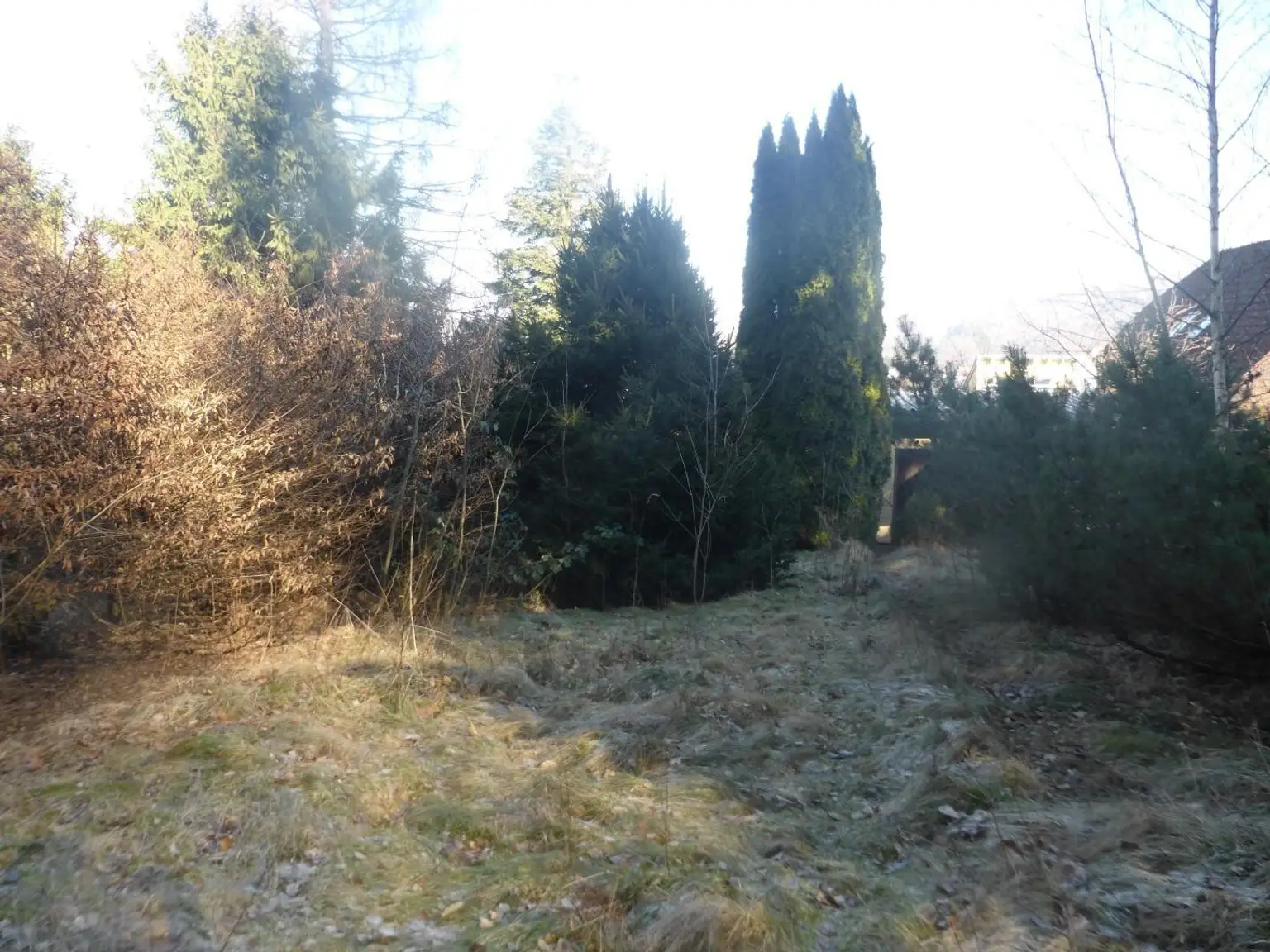 05 Grundstück in Mauerbach