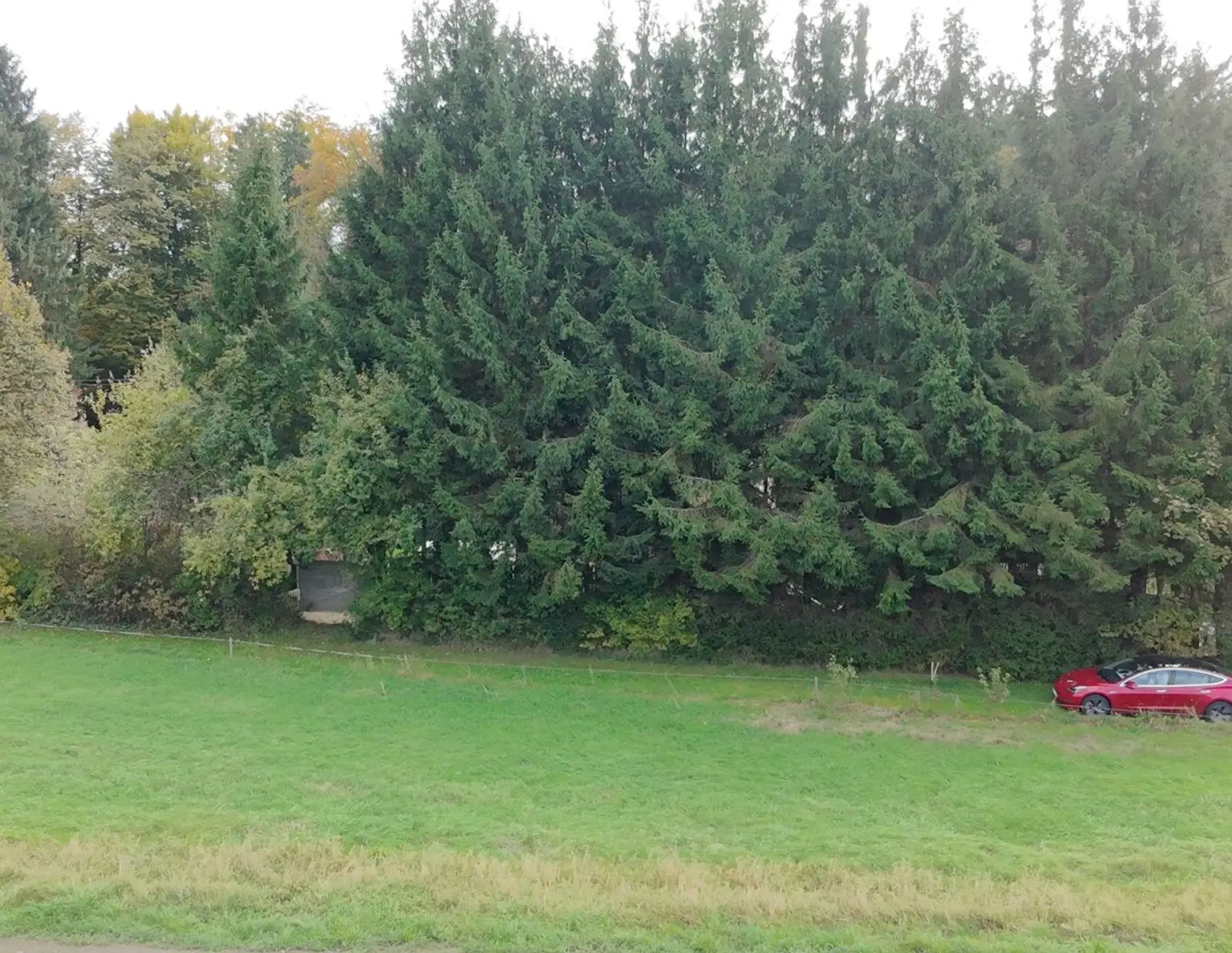 Attraktives Baugrundstück- groß, eben und vielseitig nutzbar