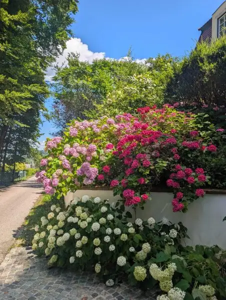 Wunderschöne Villa mit Pool und weitläufigem Grundstück, Nähe Pressbaum