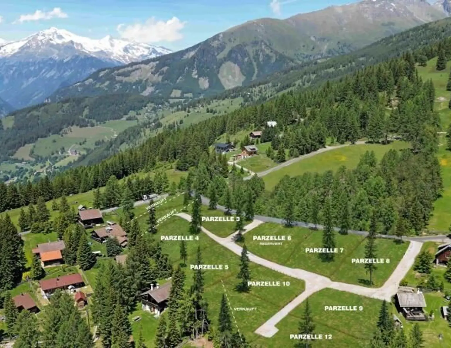 Waldnah - Rückzugsort mit grünem Naturrahmen (GP5)