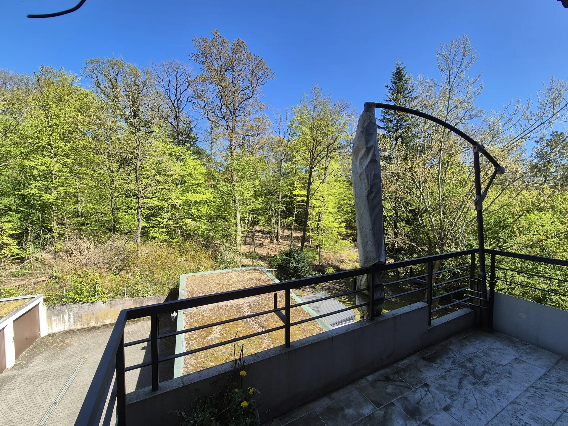 Aussicht Ostbalkon Wohnzimmer Richtung Wald