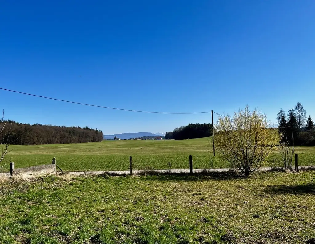 Großes, schönes Baugrundstück in St. Pantaleon (Teilankauf möglich)