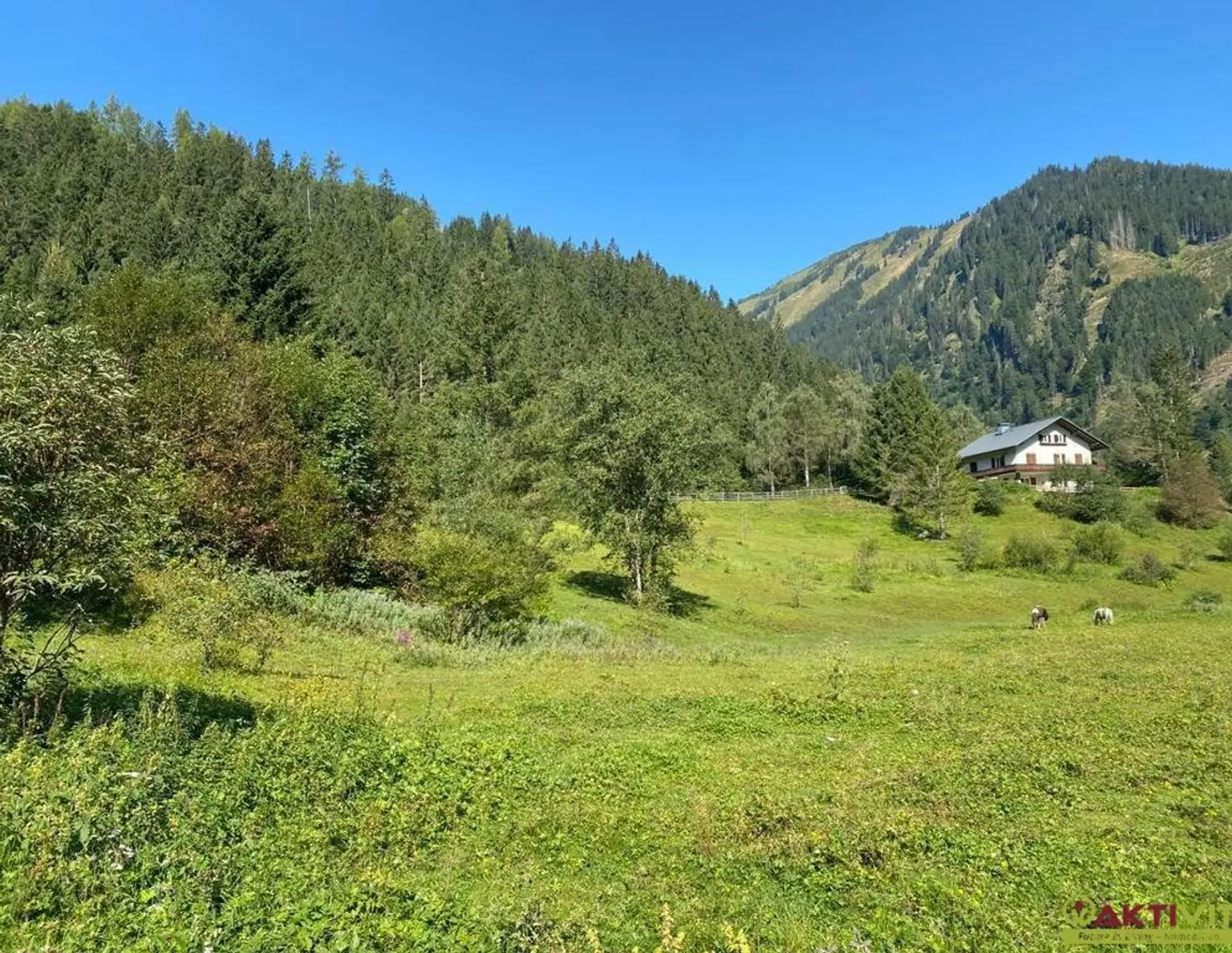 Wohnen im Herzen der Alpen - Baugrundstück in malerischer Umgebung in Donnersbachwald.