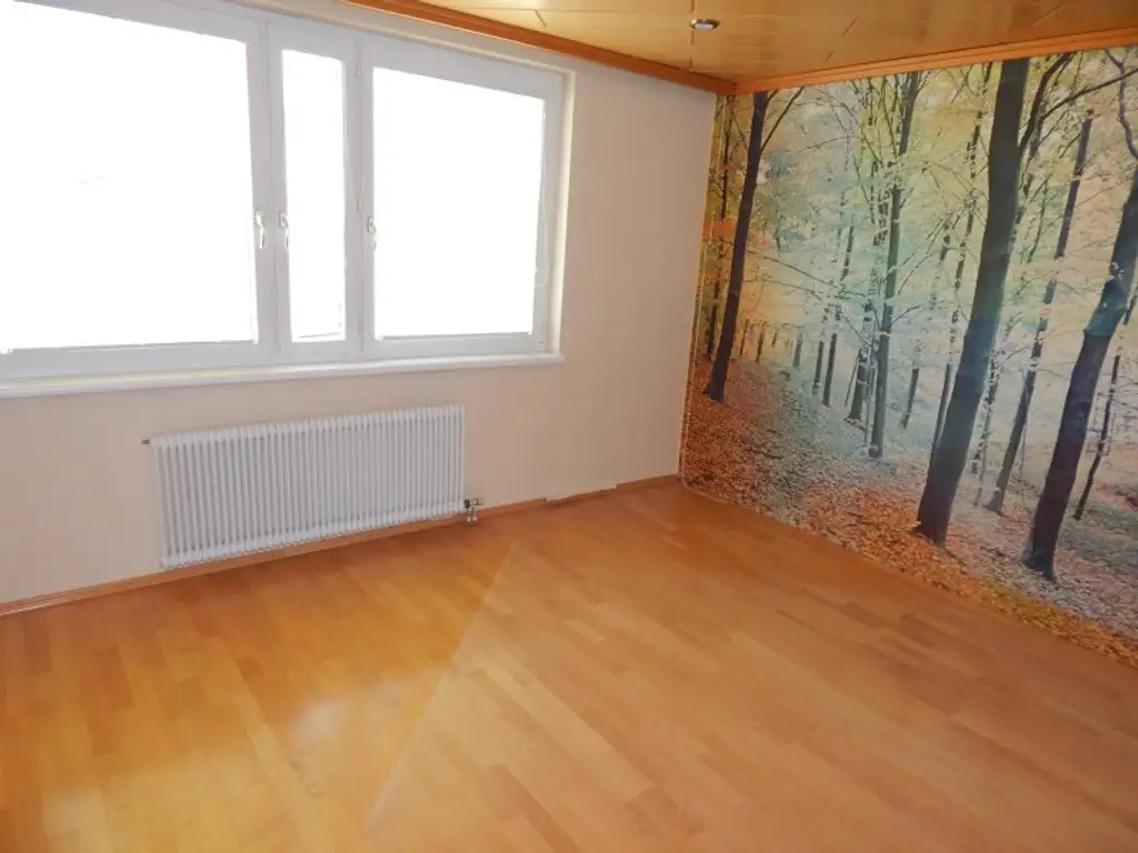 "Gelegenheit" Reihenhaus mit Garten zum Selbersanieren