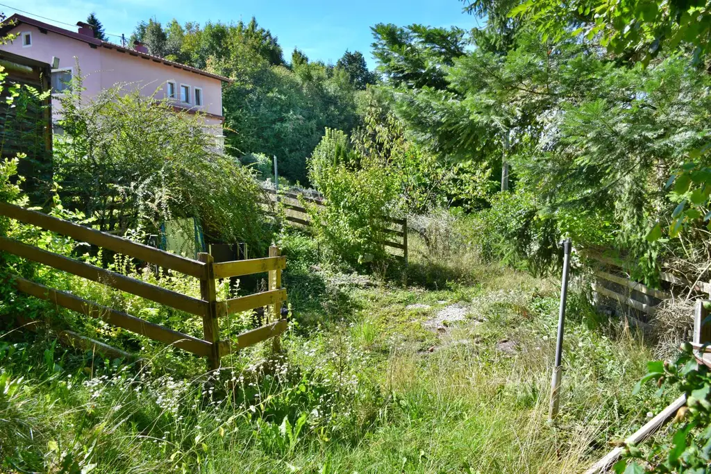 Sanierungsbedürftiges Wohnhaus in Waldrandlage