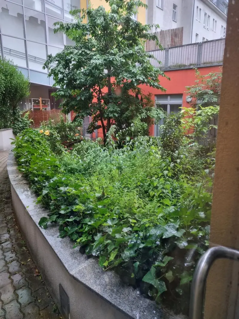 Altbaucharme trifft Gartenglück – Ihr Zuhause mit Seele 
- unbefristet vermietet