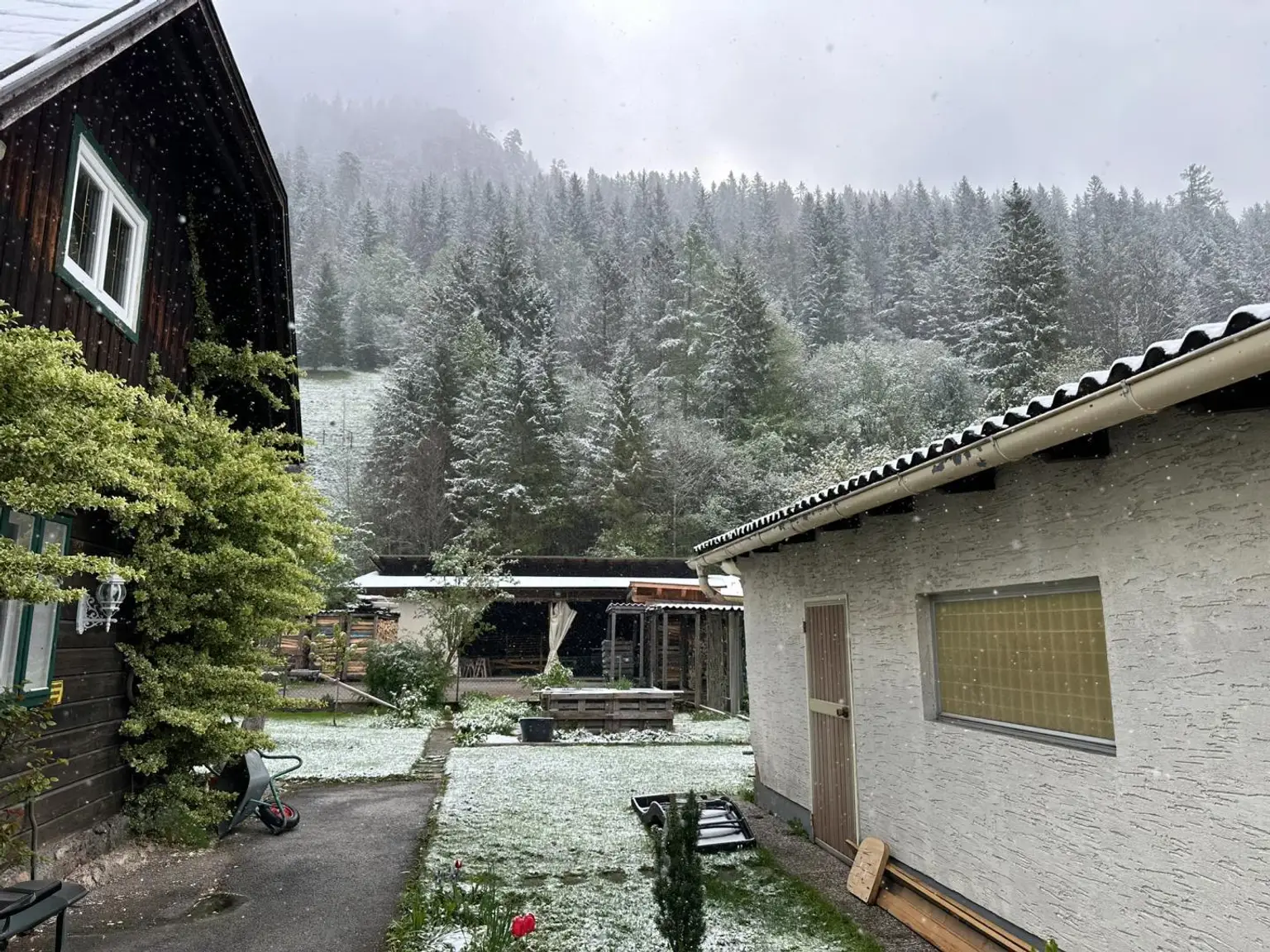 Garten