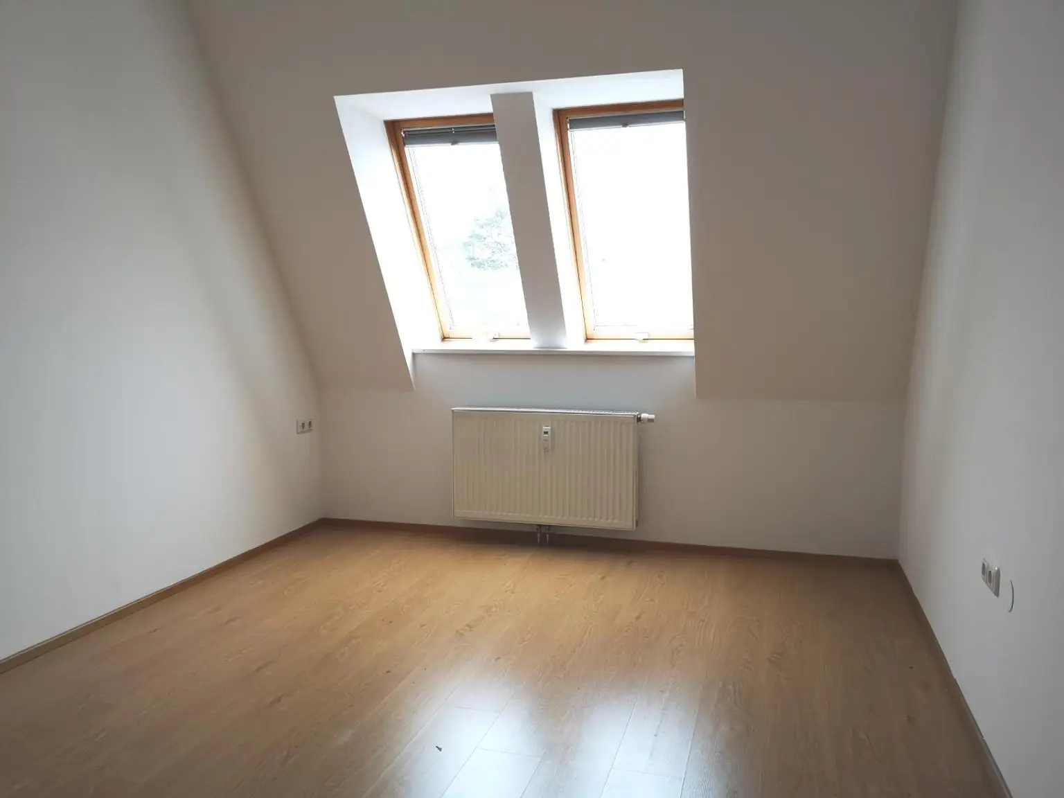 IMG_20230124_093100_resized_20230124_111825304