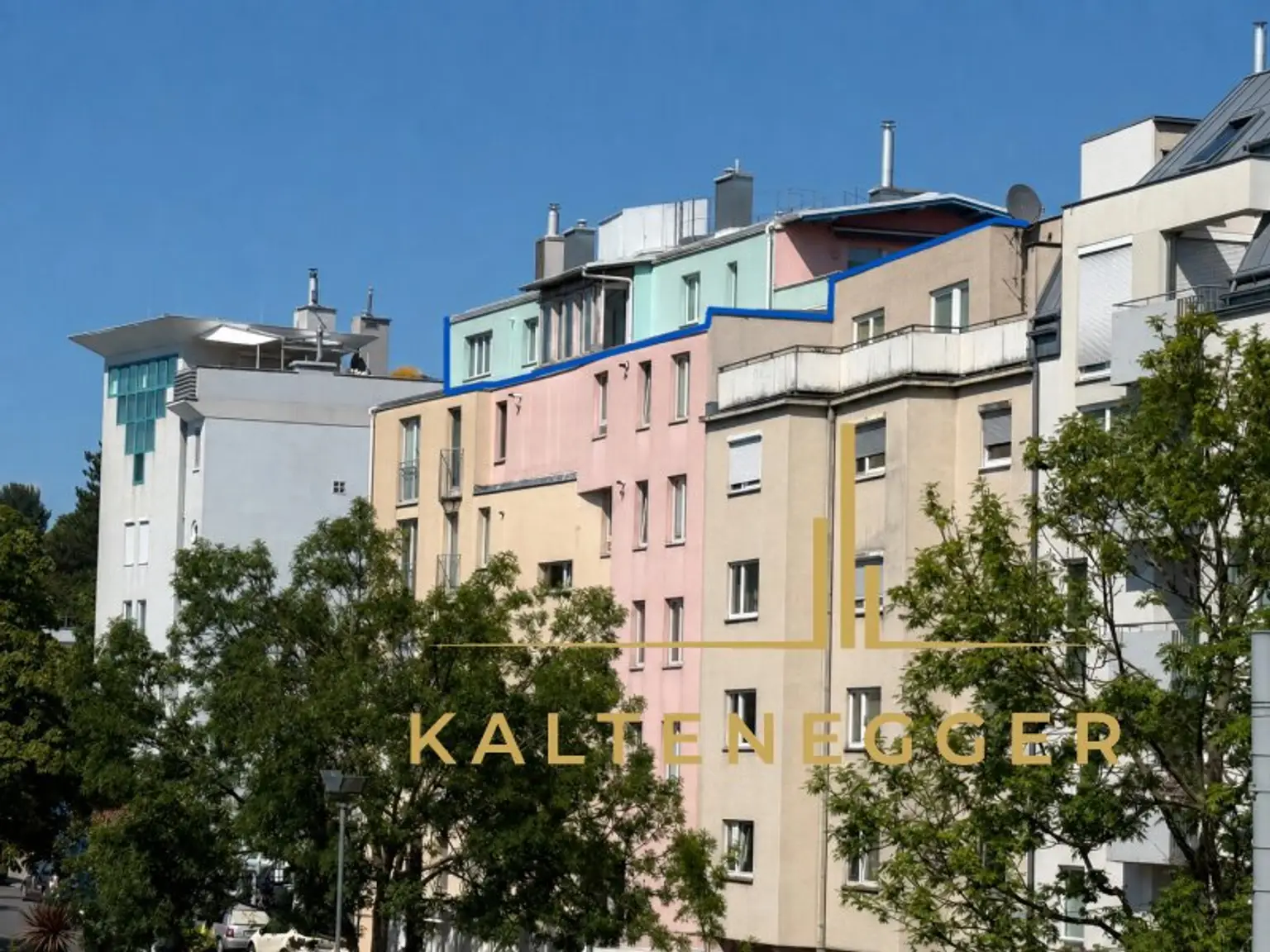 Wohnung mit blauer Linie markiert