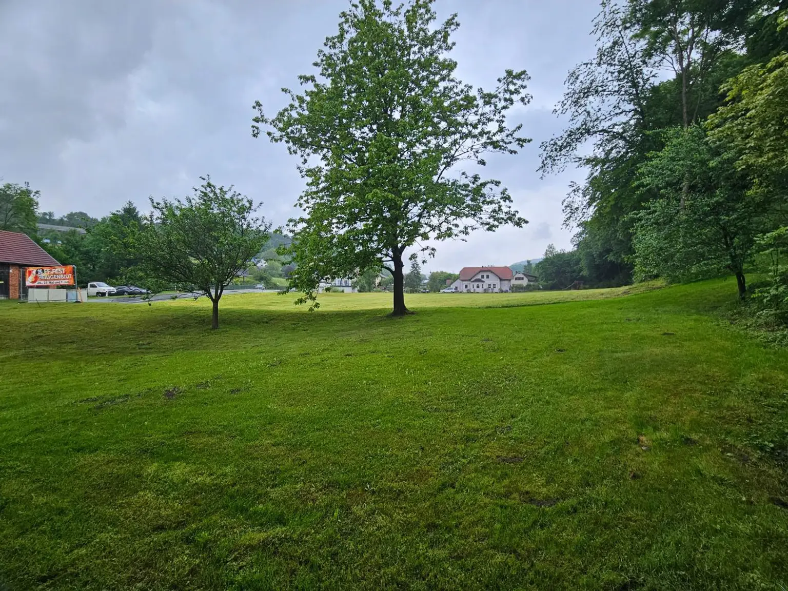 Garten - Wiesenfläche