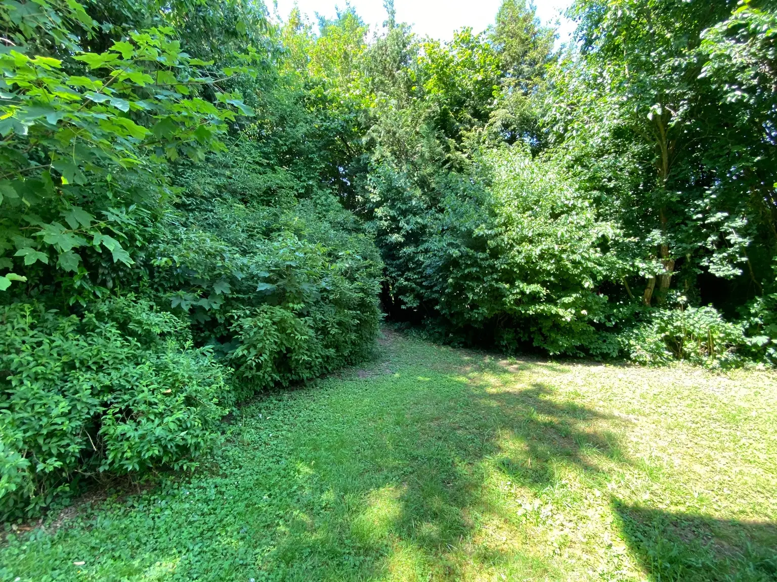 Garten