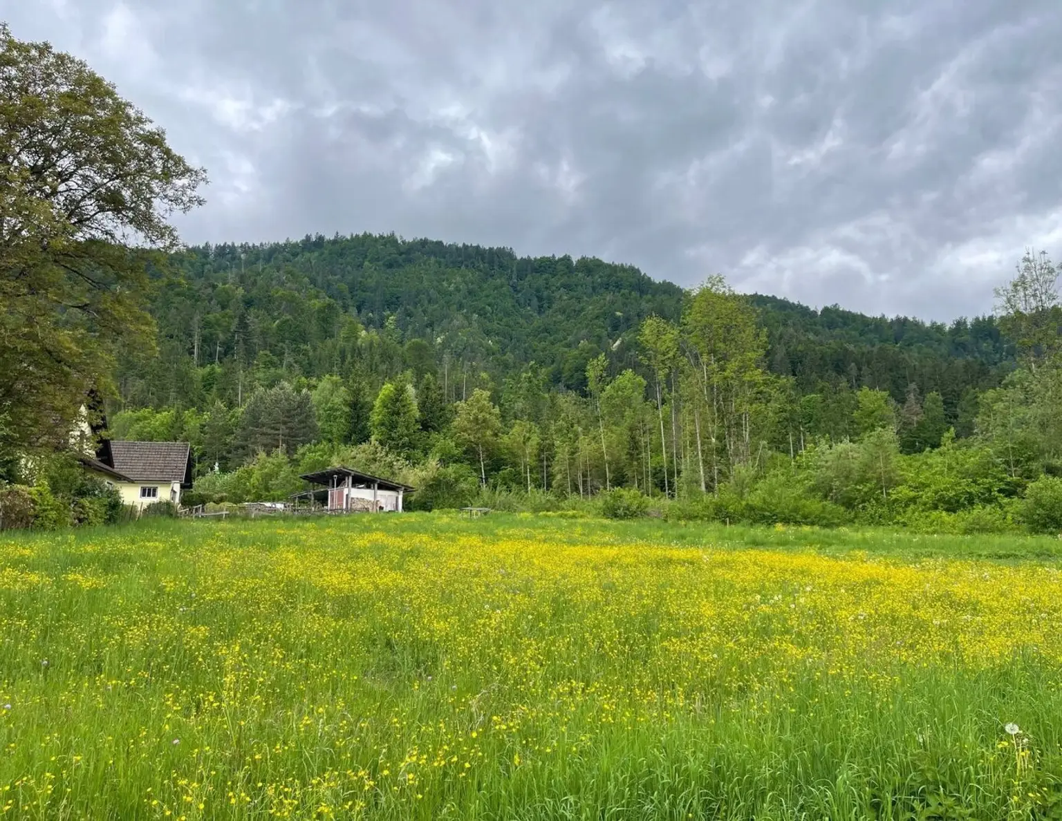 Ruhiges Landleben - Waldrand - Nähe Ferlach und Klagenfurt!