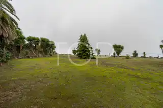 Haus-Icod-de-Los-Vinos-xxx-Teneriffa-31