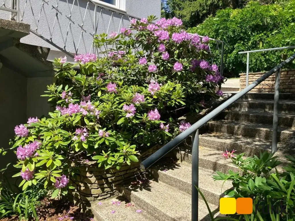 Großzügiges Haus mit Traumgarten