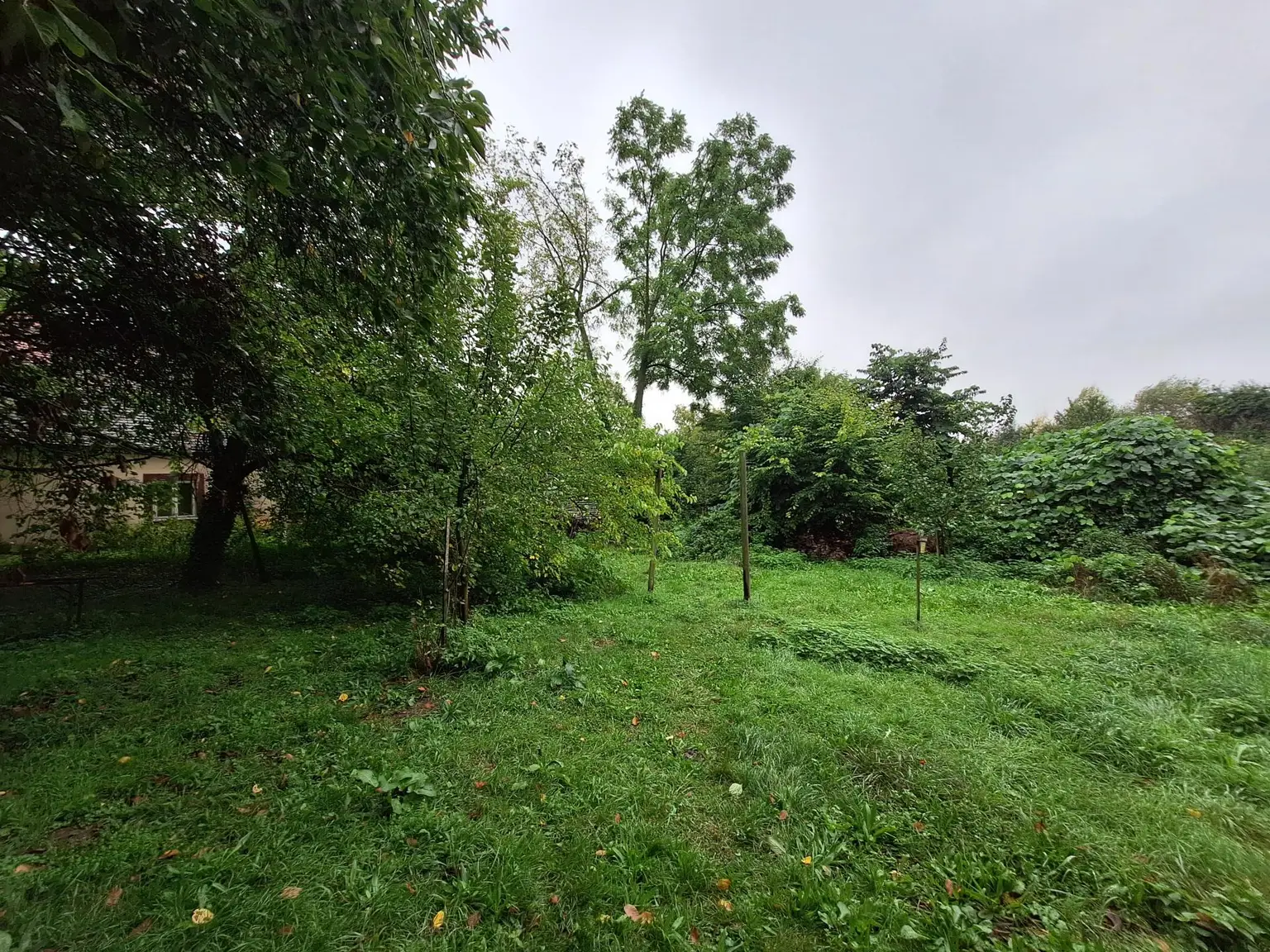 Garten 2