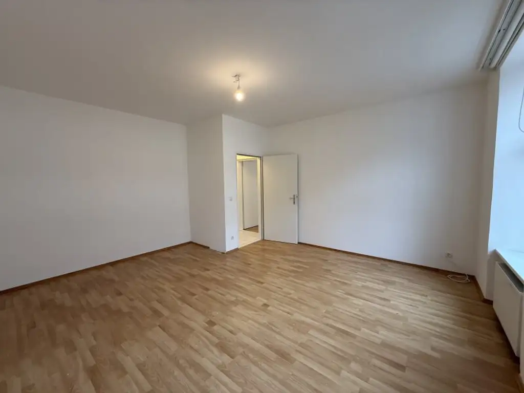 Großzügige 2-Zimmer Altbauwohnung nahe U1 Keplerplatz in ruhiger Lage zu vermieten!