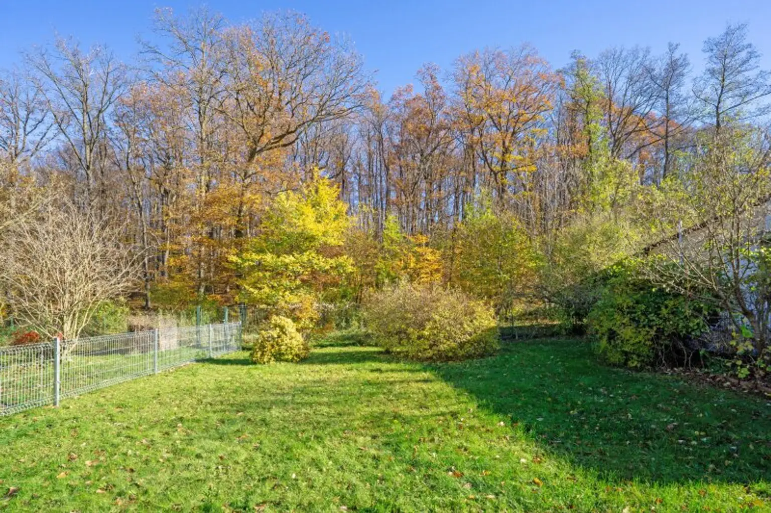 Blick Richtung östliche Grundgrenze
