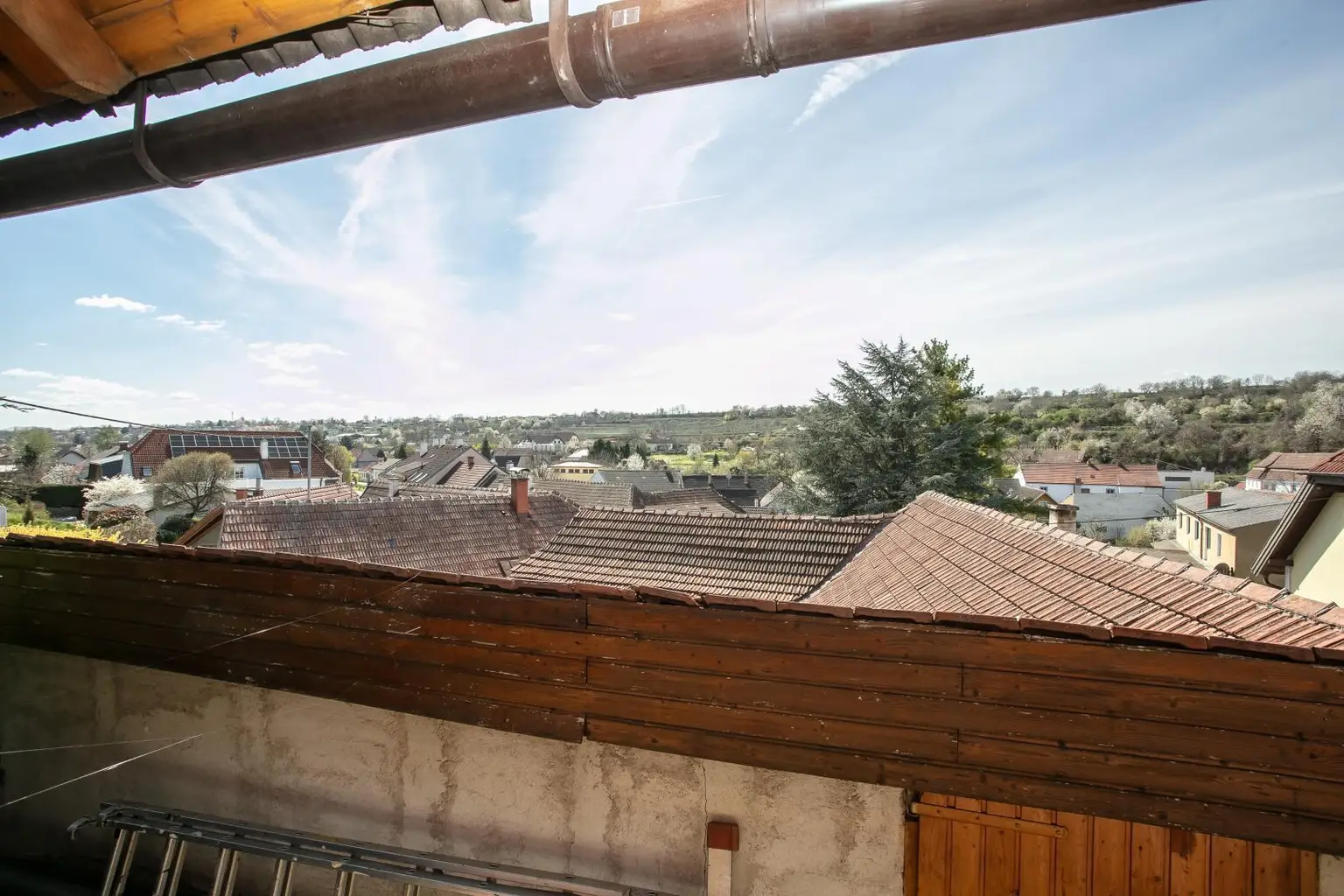 Ausblick
