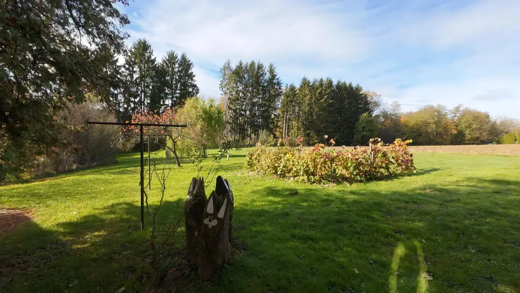 Großzügiges Wohnhaus mit Entwicklungspotenzial in St. Georgen an der Stiefing