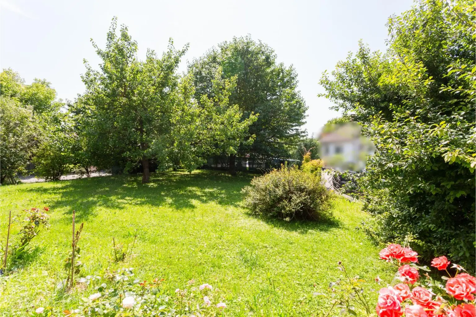 Wunderschönes Einfamilienhaus - ruhige Siedlungslage!