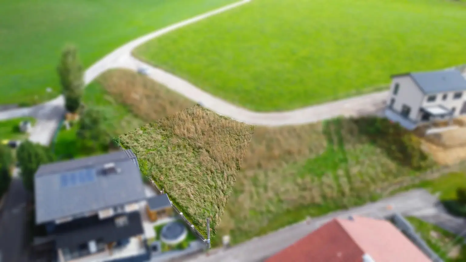 DJI_0698
