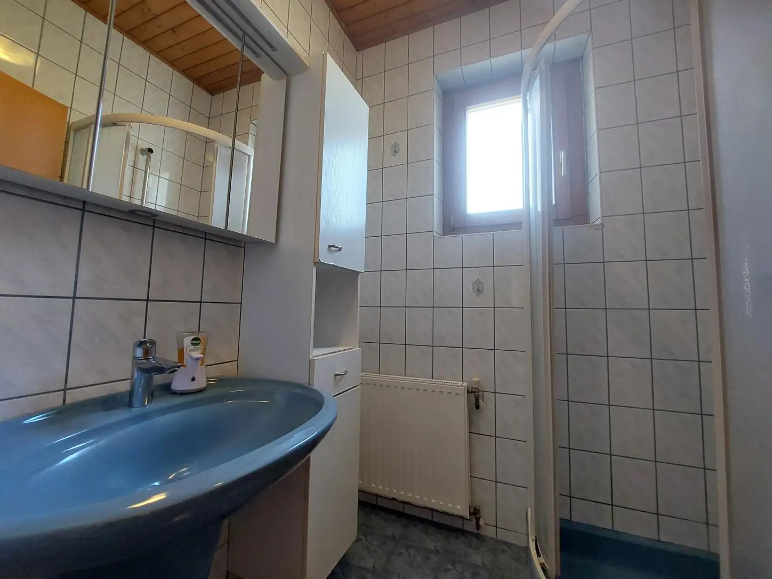 EG Badezimmer (2)
