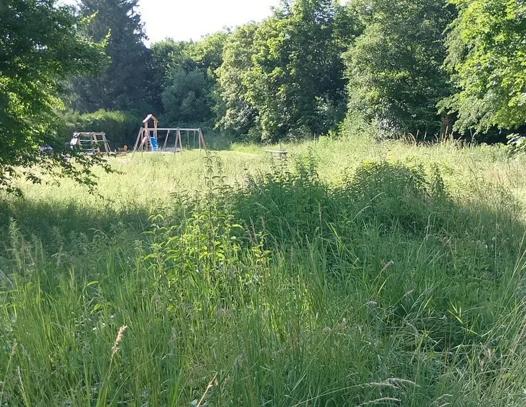 Ruhiger Baugrund in Heiligenkreuz