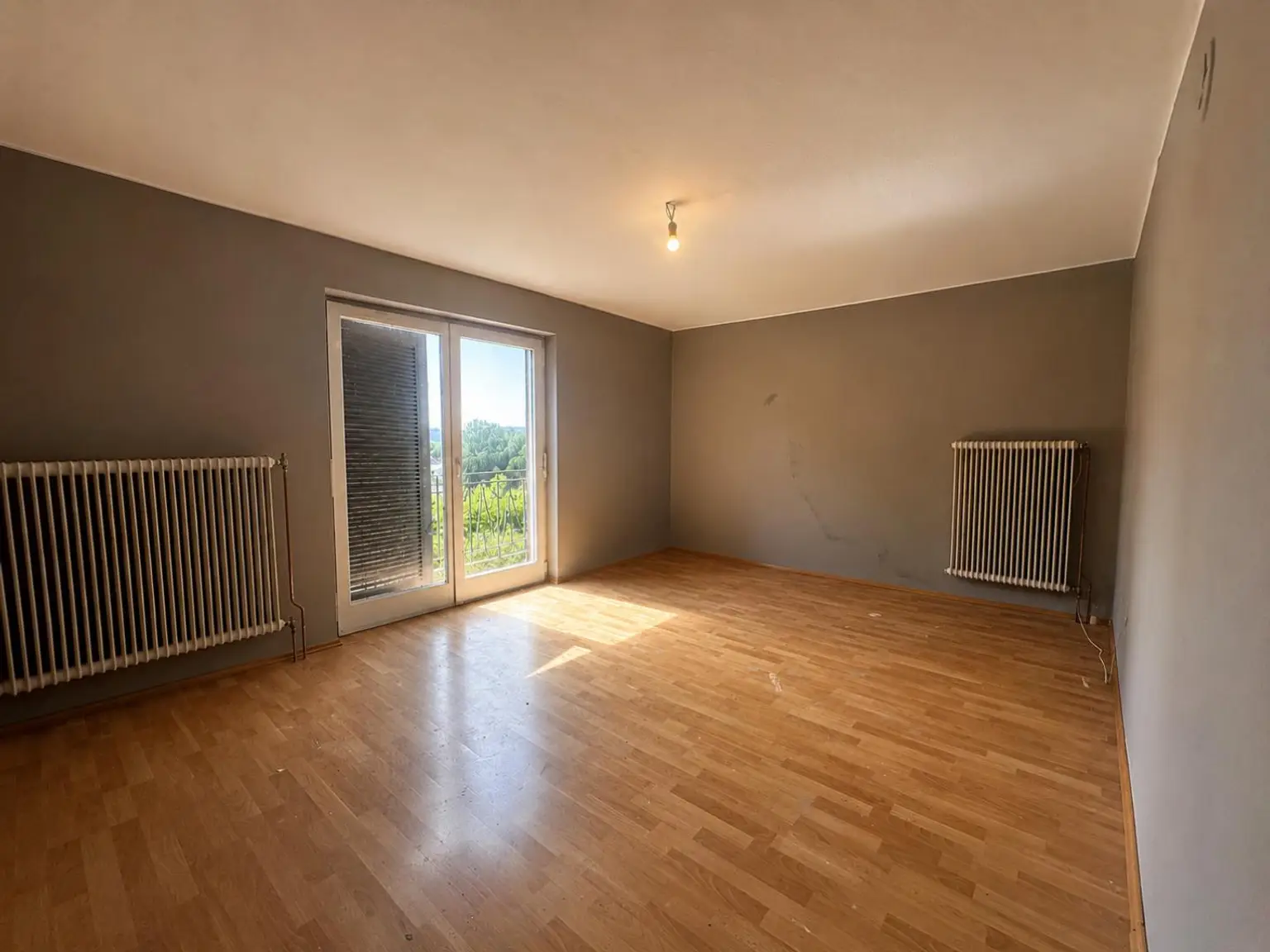 Zimmer DG