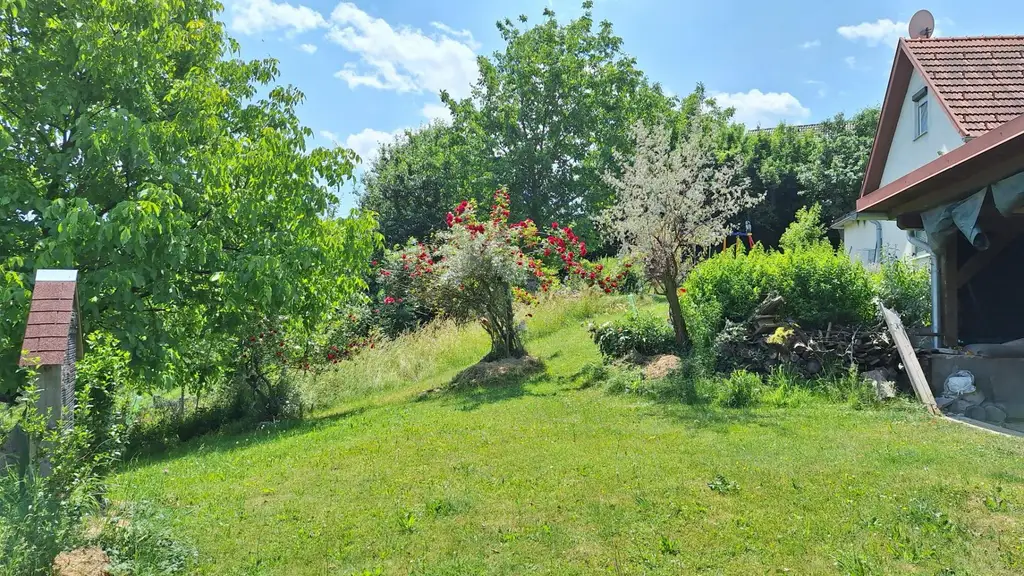 *Leben in den Weinbergen mit atemberaubender Fernsicht*
