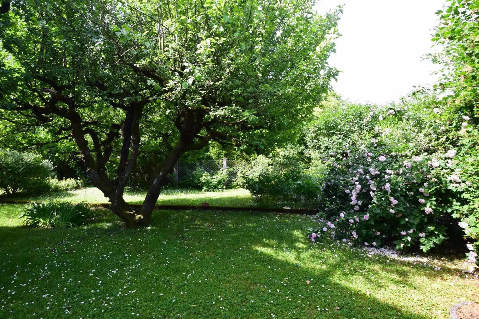 wunderbarer Garten