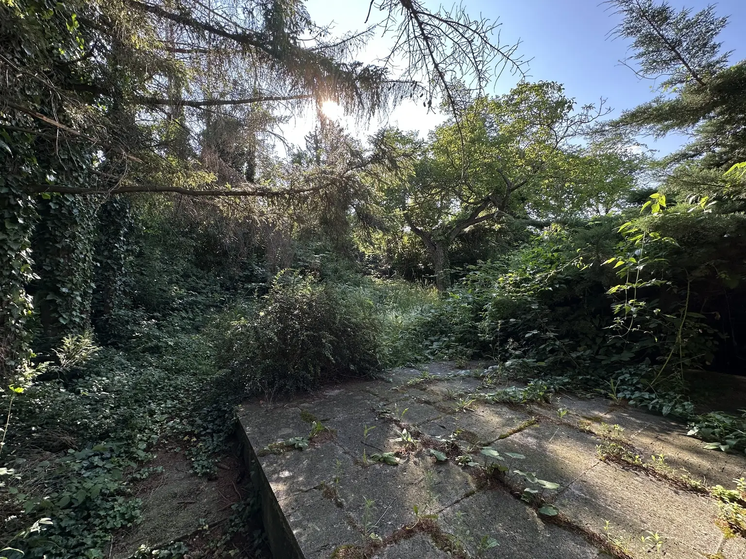 Super Grundstück mit tollem Blick!