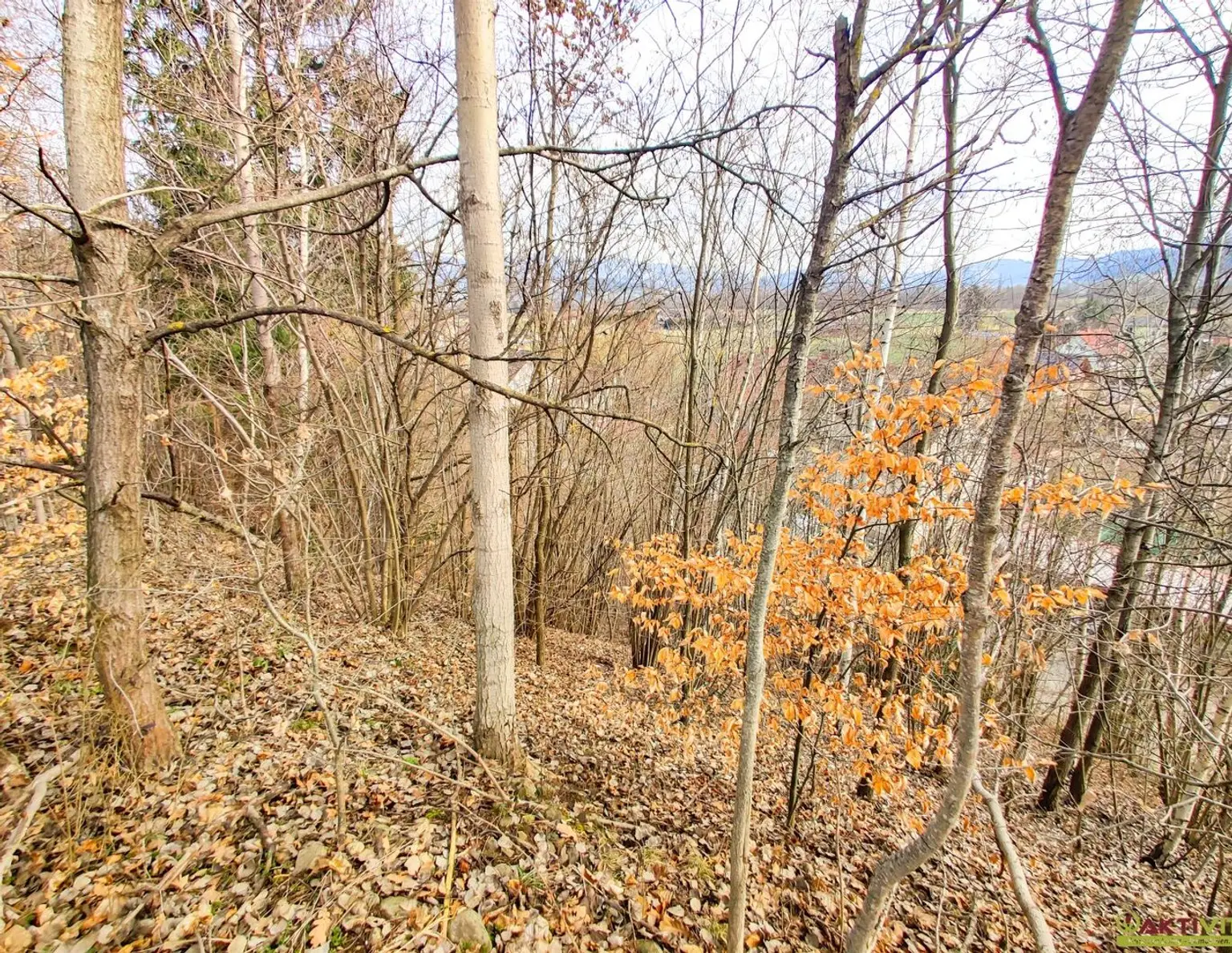 Großzügiges Baugrundstück mit Potenzial. - Verkauf auch in Teilflächen möglich und bis zu 1.450 m² Bruttogeschoßfläche realisierbar.