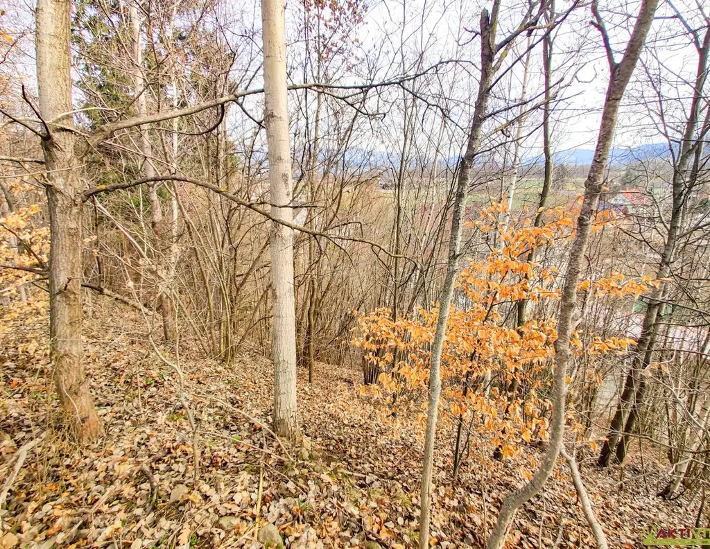 Großzügiges Baugrundstück mit Potenzial. - Verkauf auch in Teilflächen möglich und bis zu 1.450 m² Bruttogeschoßfläche realisierbar.