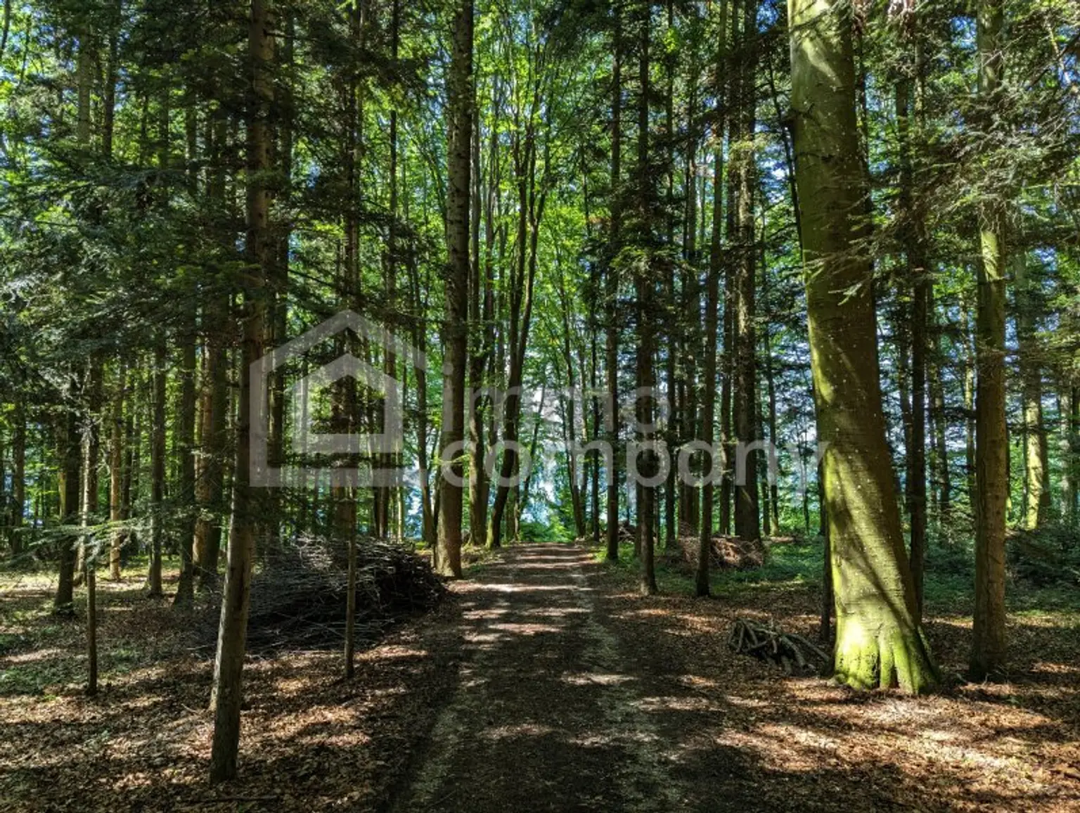 Traumhaftes Seegrundstück in Mattsee - 861m² pure Erholung in Salzburg!