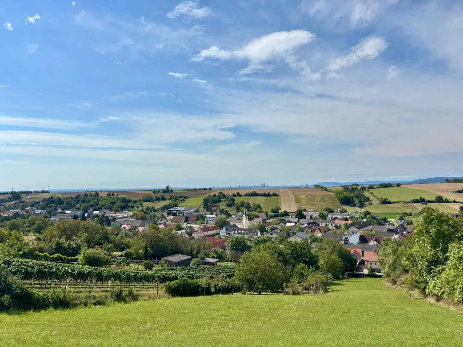 Einfamilienhaus mit großem Grund