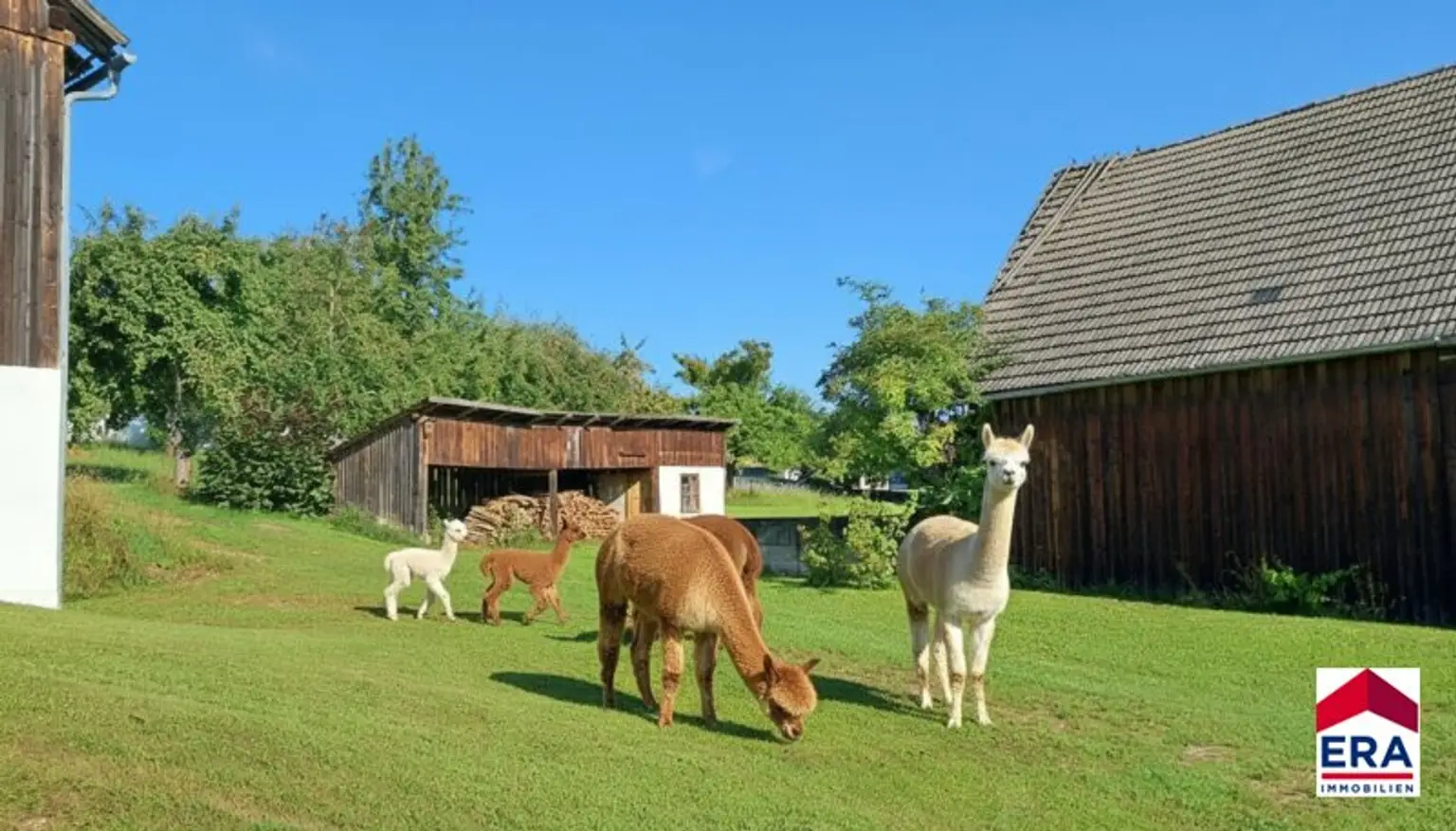 RESERVIERT!     Charmantes .:Bauernhaus:. in Merzenstein/Rappottenstein – uneinsehbarer Vierkanthof bietet zahlreiche Möglichkeiten!