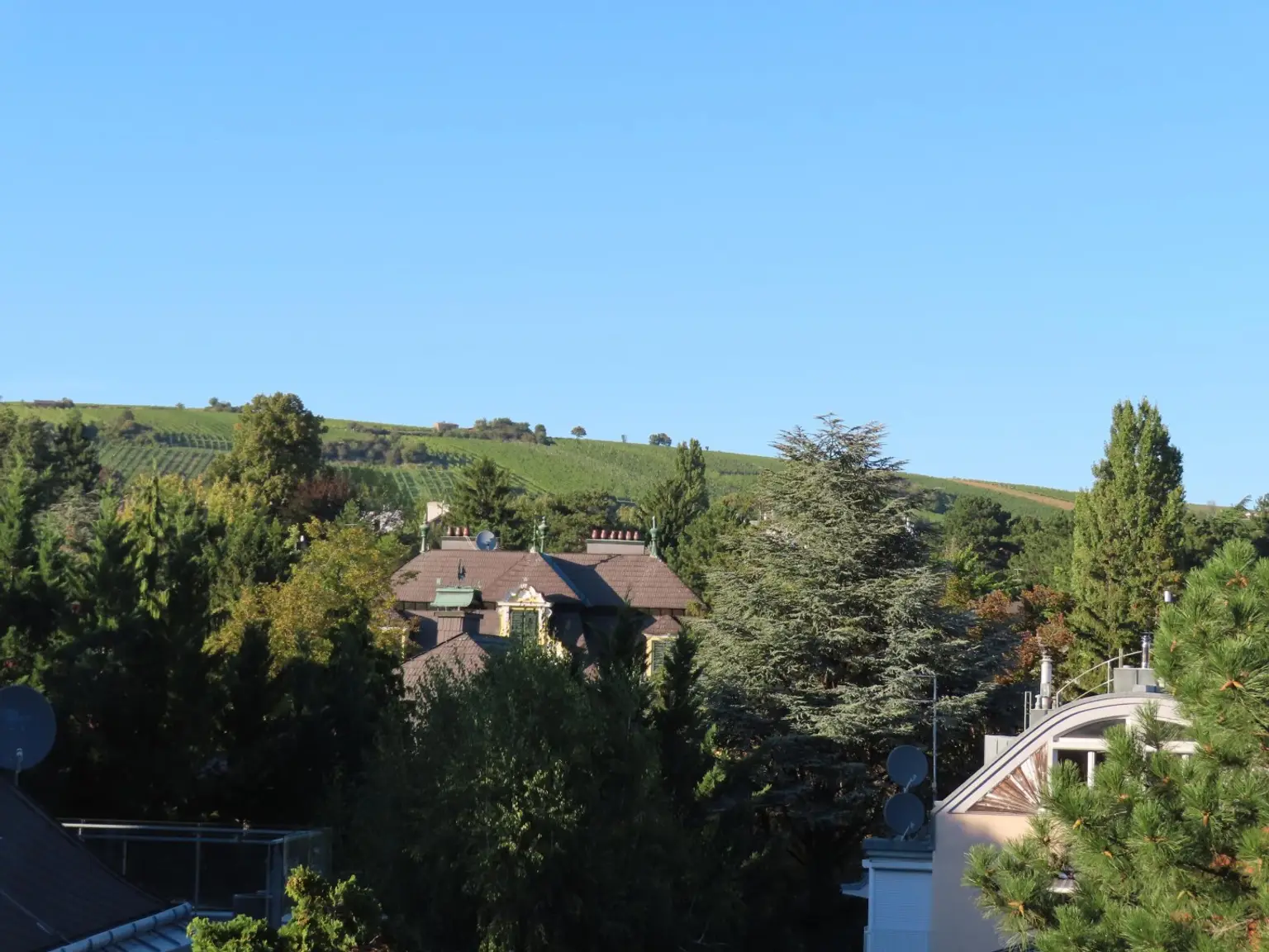 GRINZING - CHARMANTES WINZERHAUS, GERÄUMIG, GROSSFAMILIE ODER WOHNEN / ARBEITEN UNTER EINEM DACH
