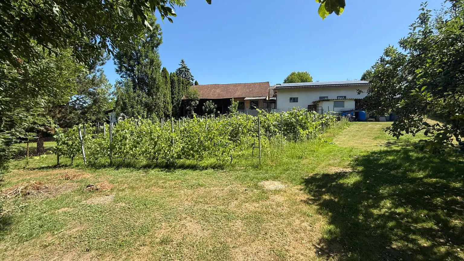 Charmantes, modernisiertes Bauernhaus mit großem Grundstück & Photovoltaikanlage – St. Michael im Burgenland