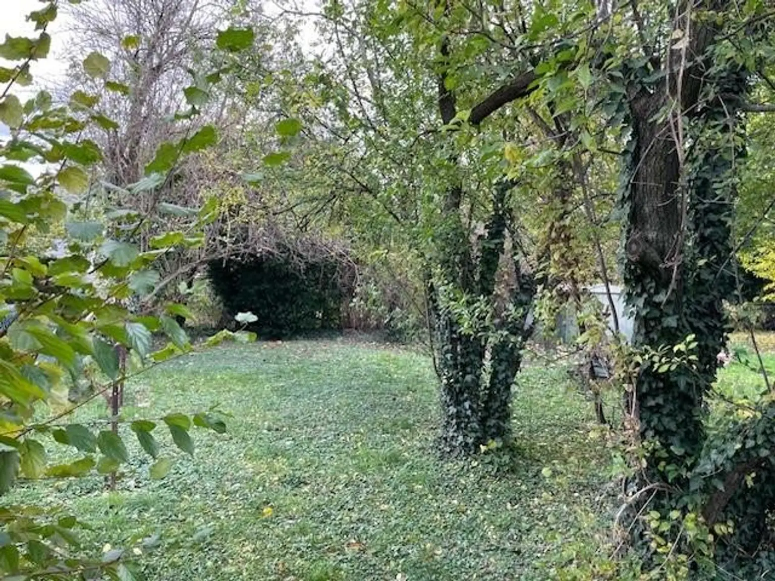 "Lage, Potenzial, neues Familienglück!" Eigengrund mit Altbestand!"