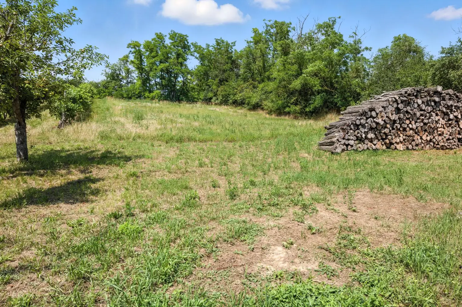 Traditioneller Weinkeller mit Presshaus und 2.421 m² Weingarten in Ebenthal – Ihr Rückzugsort im Weinviertel!